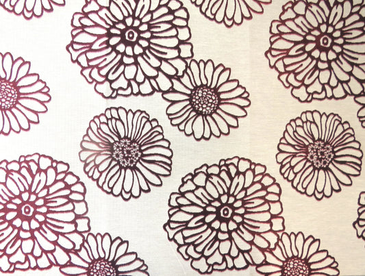 Chrysanthemum Bordeux
